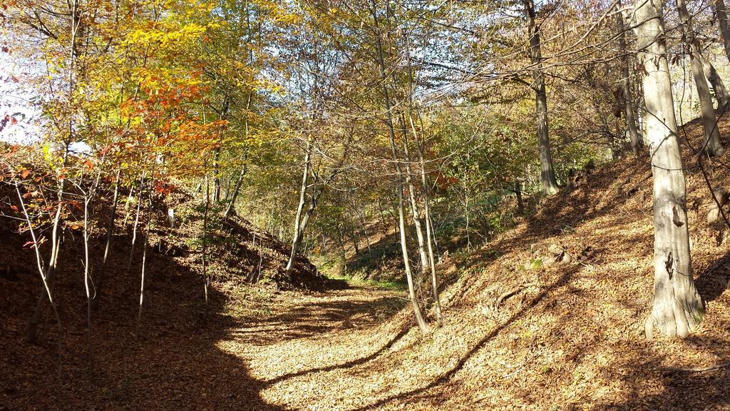 La Valle Nervesa della Battaglia Exterior foto